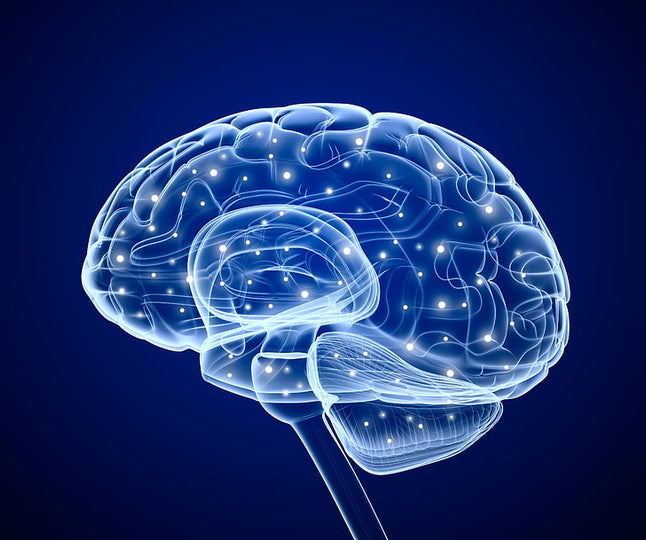 Brain Health: Why It Matters & How to Take Care of It