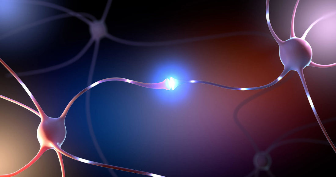 Neuroplasticity: How to Rewire Your Brain