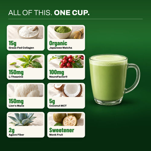 Everything in one STRONG Matcha latte: 15g grass-fed collagen, organic Japanese matcha, 150mg L-theanine, 100mg NeuroFactor, 150mg lion's mane, 5g coconut MCT, 2g agave fiber, monk fruit